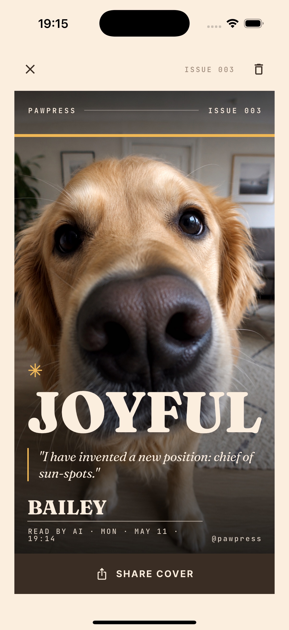Pawpress joyful cover featuring Bailey