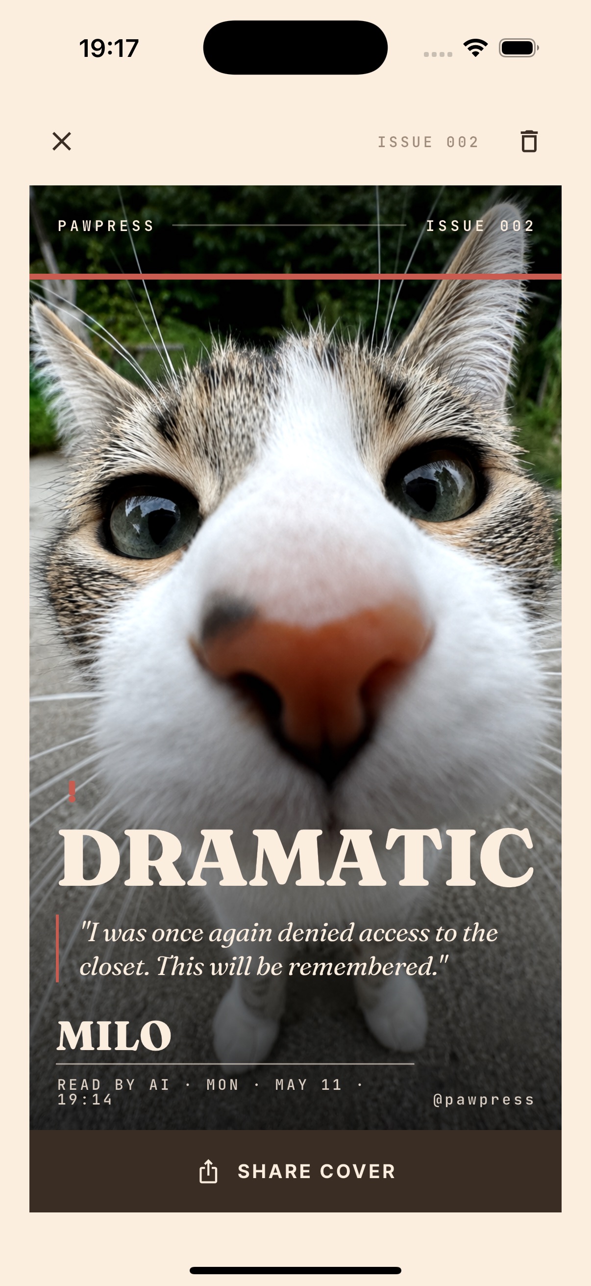 Dramatic - cat