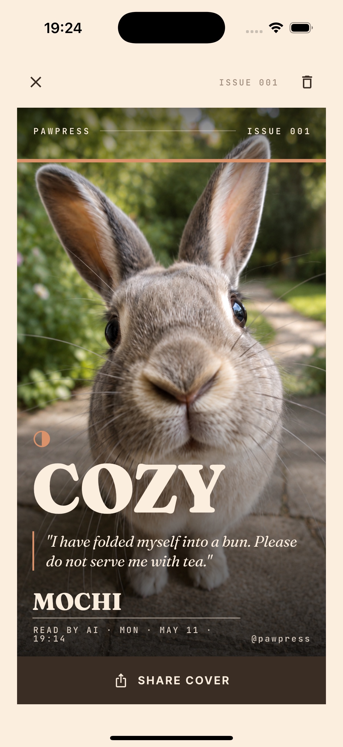 Cozy - rabbit