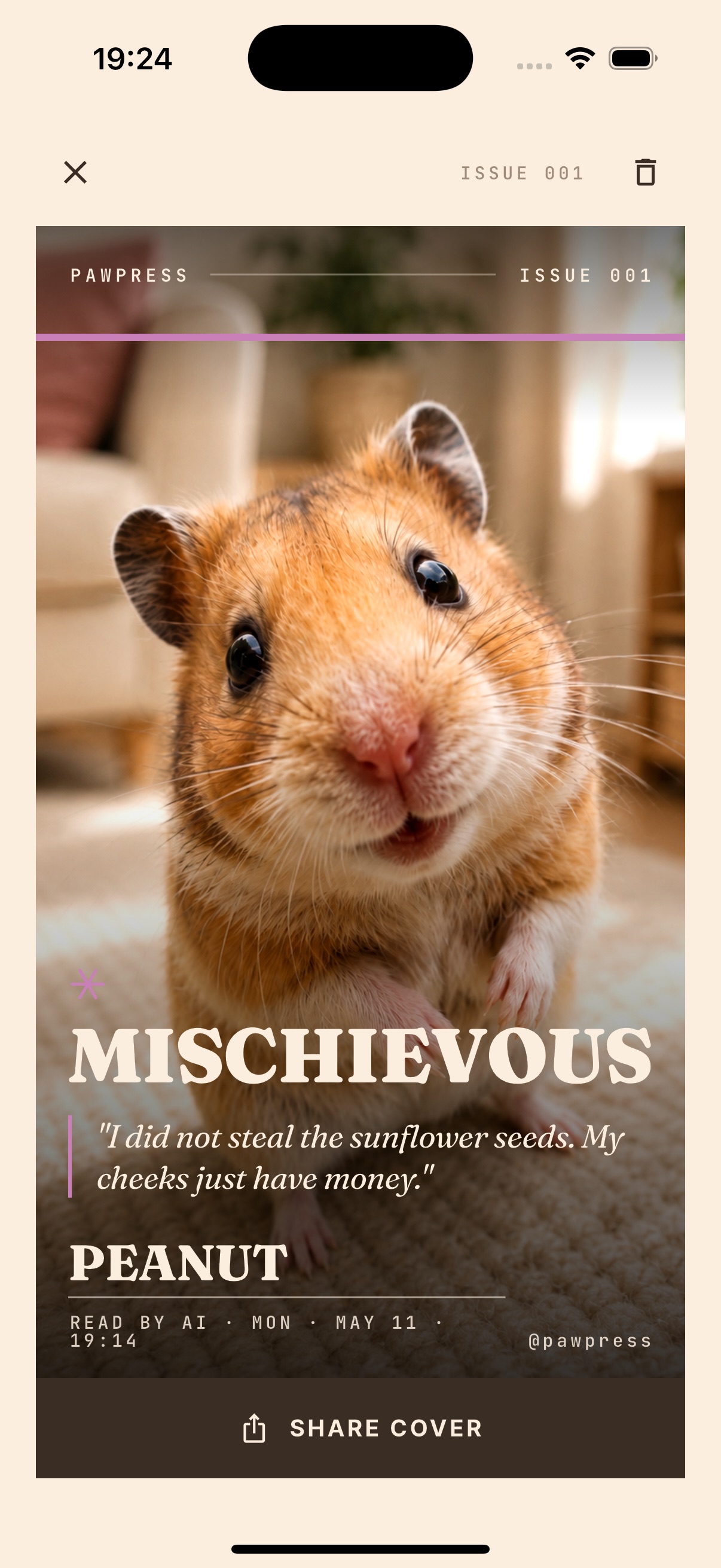 Mischievous - hamster