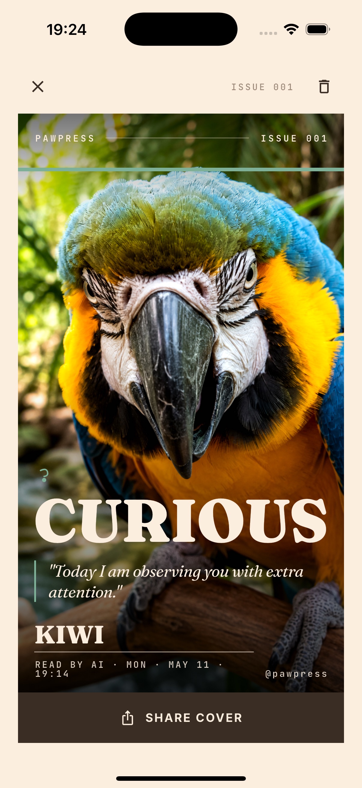 Curious - parrot