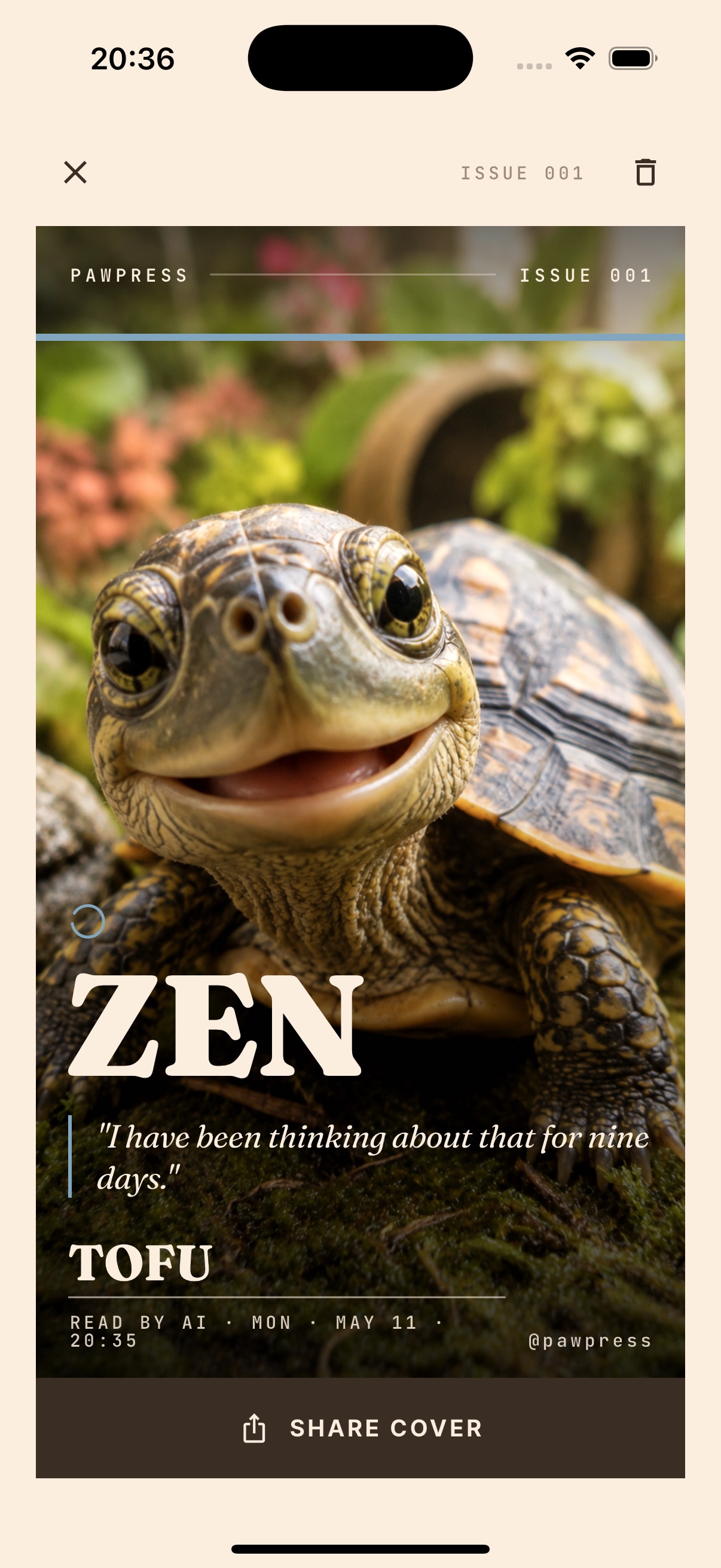 Zen - turtle
